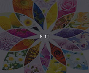 FC Print Design