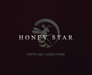 Honey Star Brand Design